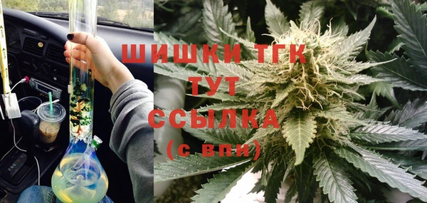 мяу мяу мука Лабытнанги