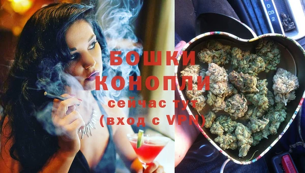 гидра Липки