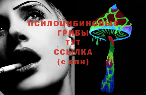 гидра Липки