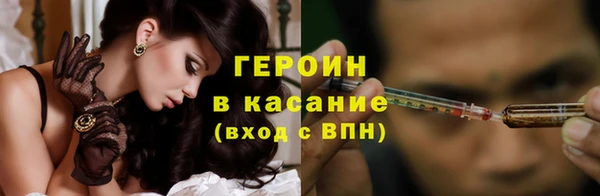 гидра Липки