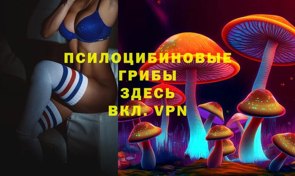 гидра Липки