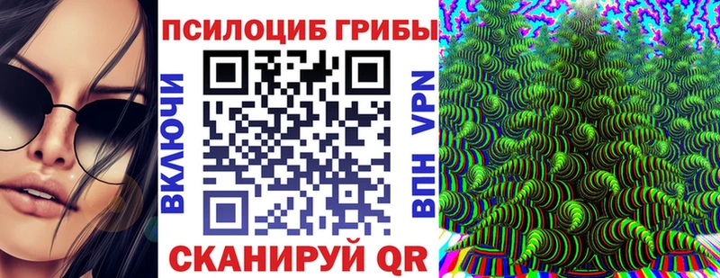 Купить где  Усинск  Псилоцибиновые грибы Psilocybine cubensis 